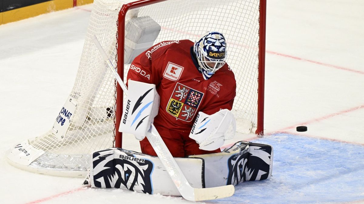 Nečekaný příběh českého gólmana: Reprezentaci chtěl fandit u televize, nakonec sám půjde do akce